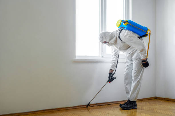 Best Residential Pest Control  in Ellsworth, WI