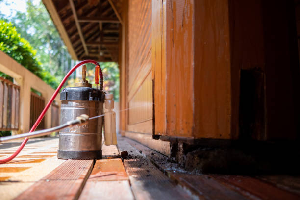 Best Mosquito Control Services  in Ellsworth, WI