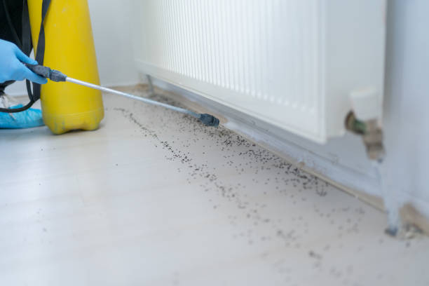 Trusted Ellsworth, WI Pest Control Experts
